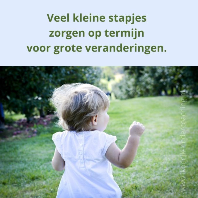 veel kleine stapjes maken één grote