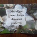 Mislukken, zoveel leuker dan nooit proberen.