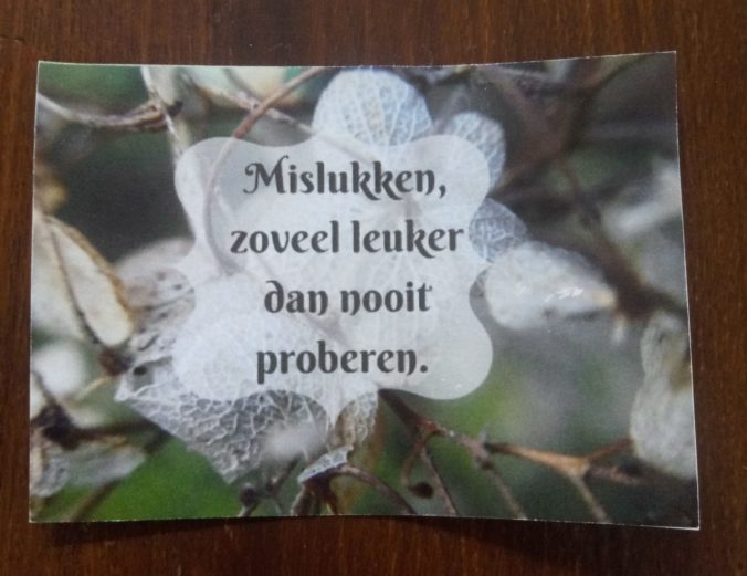 Mislukken, zoveel leuker dan nooit proberen.